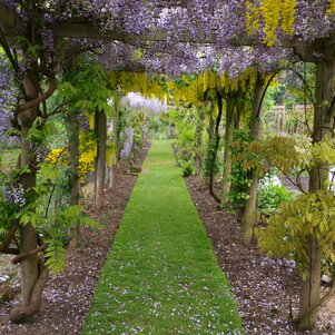 pergola